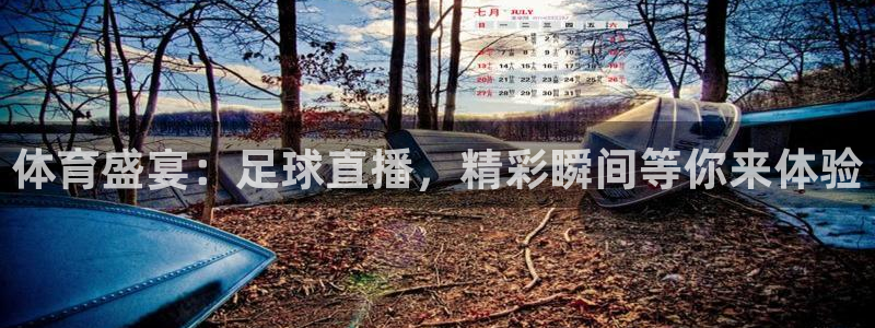 nba柠檬直播体育：体育盛宴：足球直播，精彩瞬间等你来体验