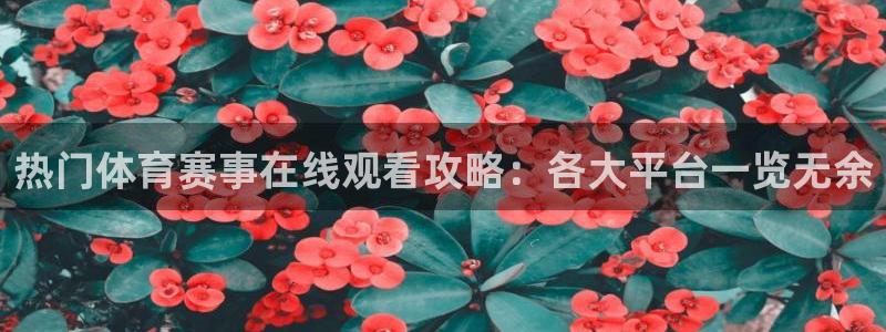 足球直播柠檬：热门体育赛事在线观看攻略：各大平台一览无余