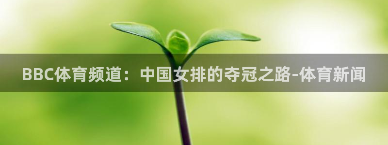 柠檬体育在线直播：BBC体育频道：中国女排的夺冠之路-体育新闻