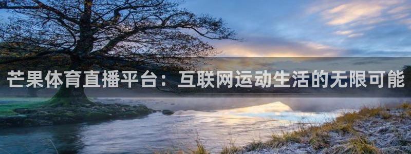 柠檬体育足球视频直播：芒果体育直播平台：互联网运动生活的无限可能