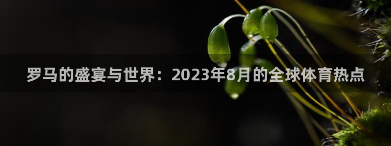 柠檬体育：罗马的盛宴与世界：2023年8月的全球体育热点