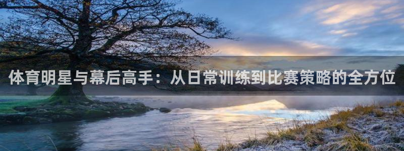柠檬体育直播篮球：体育明星与幕后高手：从日常训练到比赛策略的全方位