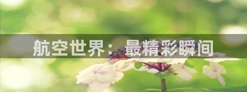 柠檬篮球直播：航空世界：最精彩瞬间