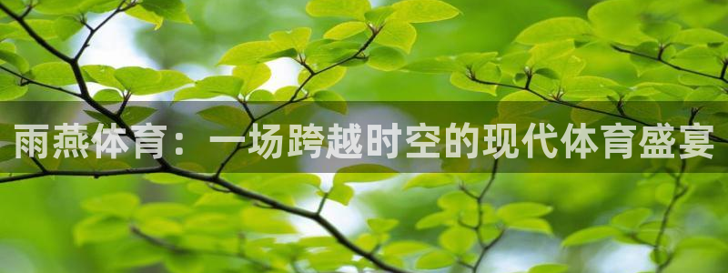 小柠檬体育：雨燕体育：一场跨越时空的现代体育盛宴