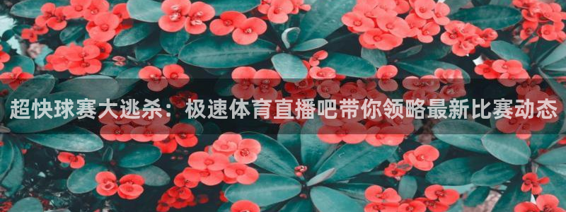 柠檬体育直播吧：超快球赛大逃杀：极速体育直播吧带你领略最新比赛动态